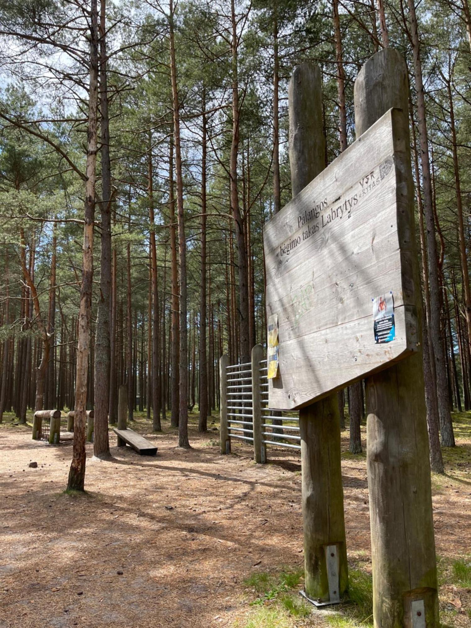 Apartment In The Forest *