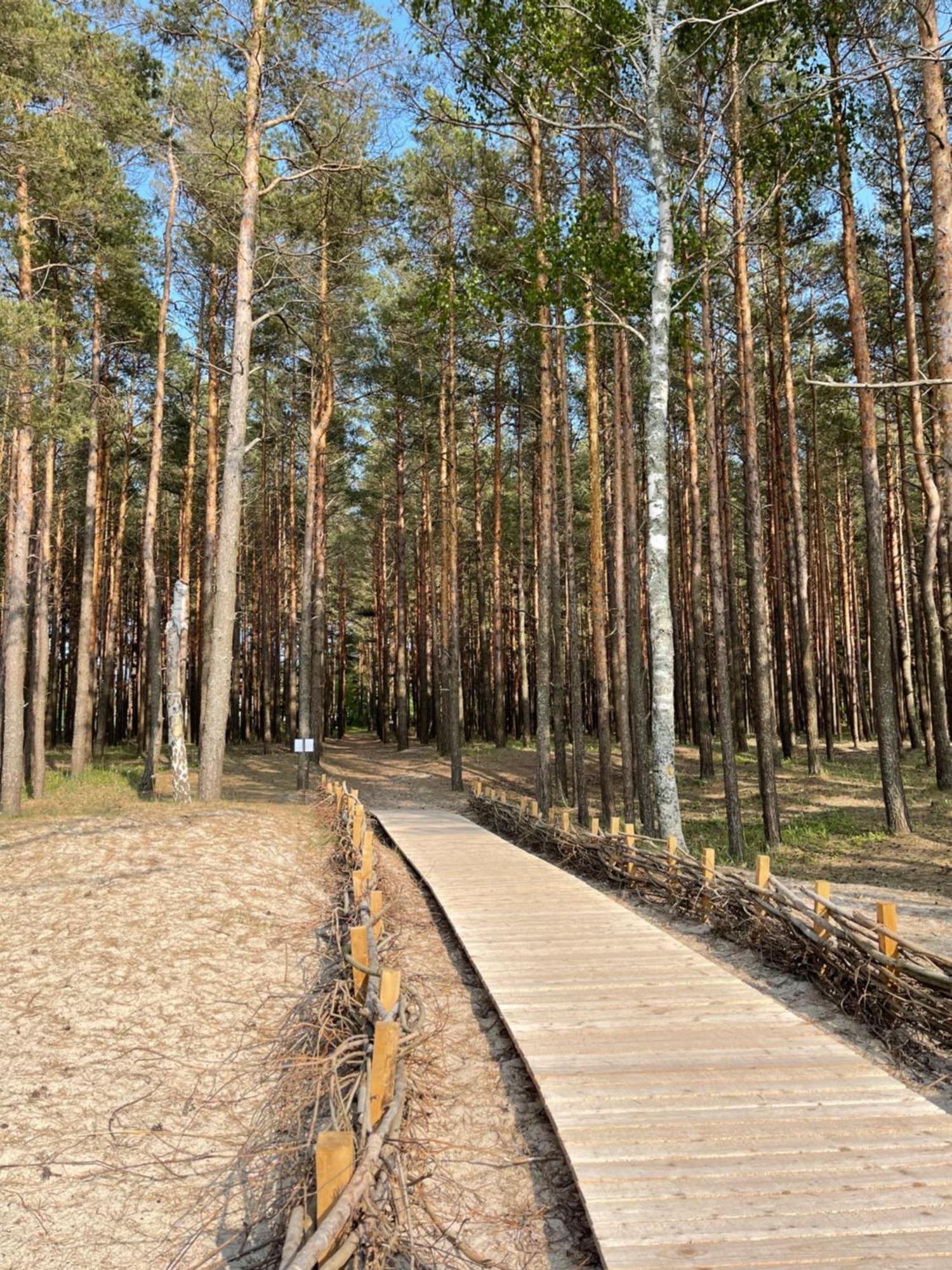 In The Forest Apartment
